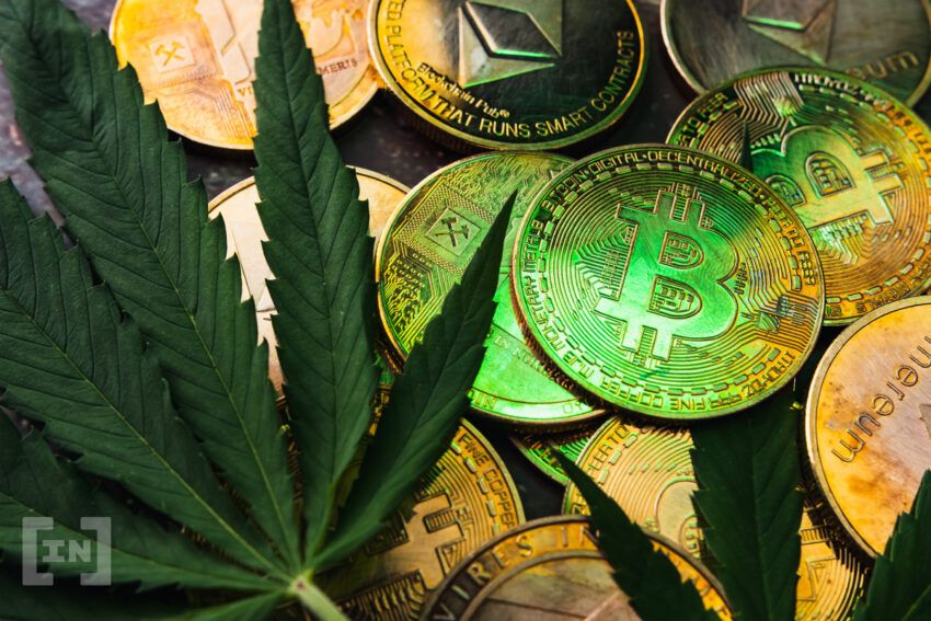 Cannabis Company Fund Turns to Crypto to Raise Capital