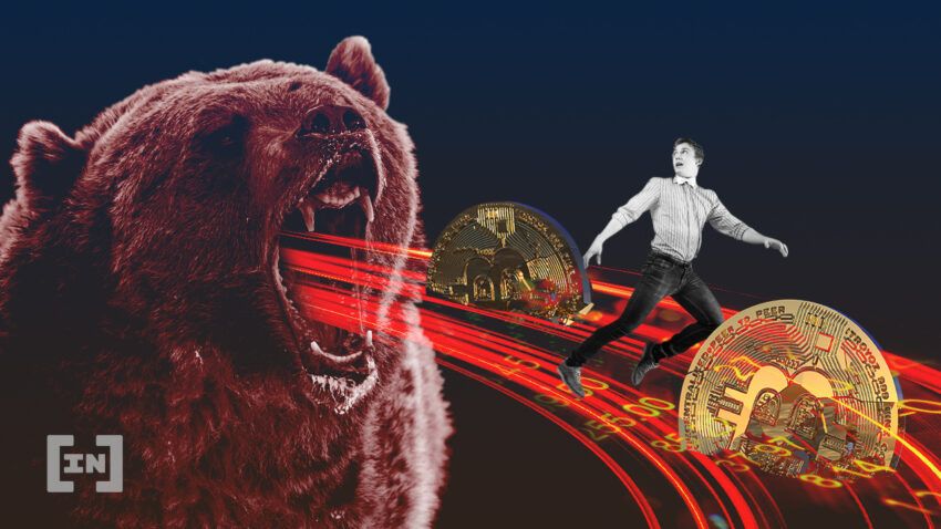 7 Ways To Survive the Crypto Bear Market