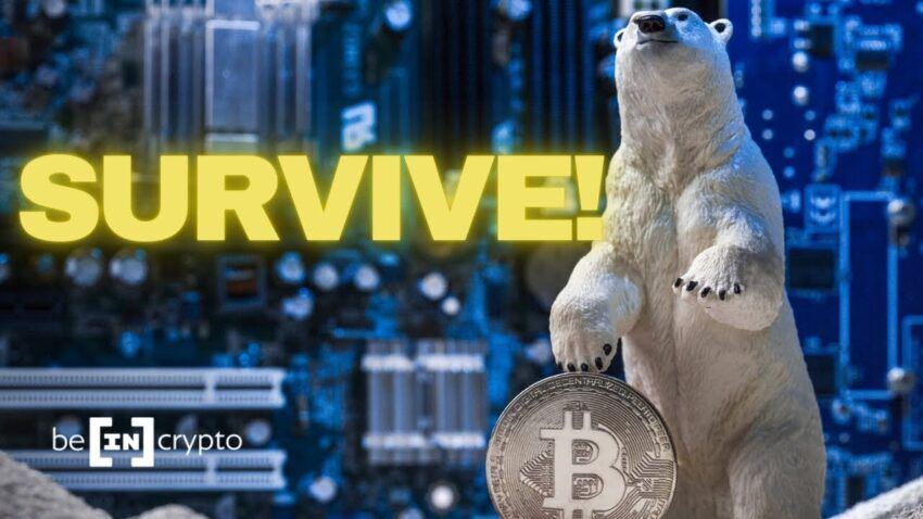 Be[In]Crypto Video News Show: 7 Ways to Survive the Crypto Bear Market