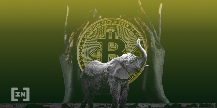 Operațiunile de exploatare a Bitcoin s-ar putea muta în curând în Kenya. Țara africană oferă acum minerilor o sursă de energie verde pentru a-și atinge obiectivele de minerit verde.