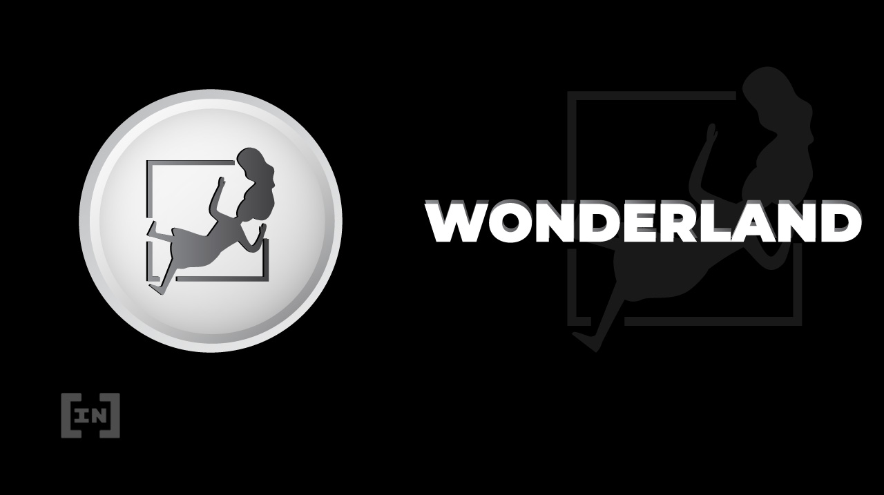 Los usuarios de Wonderland votan para invertir $ 25 millones en tokens SIFU Vision