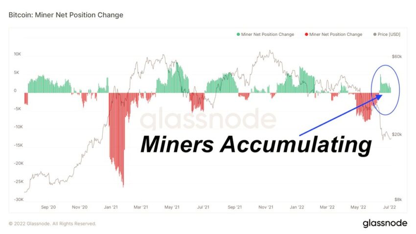 Biểu đồ thể hiện vị thế của thợ khai thác Bitcoin đang chuyển qua tích lũy - Glassnode