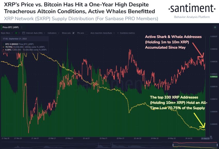 Ripple Wal Adressen Chart