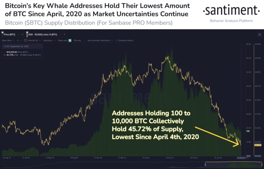 Wieloryby Bitcoina wymierają