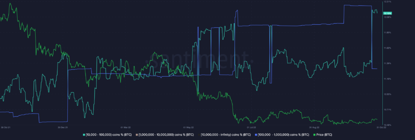 Balene Bitcoin Adrese de balene Bitcoin | Sursa: Santiment