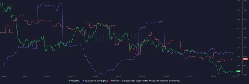 Percentage of stablecoins held by whales