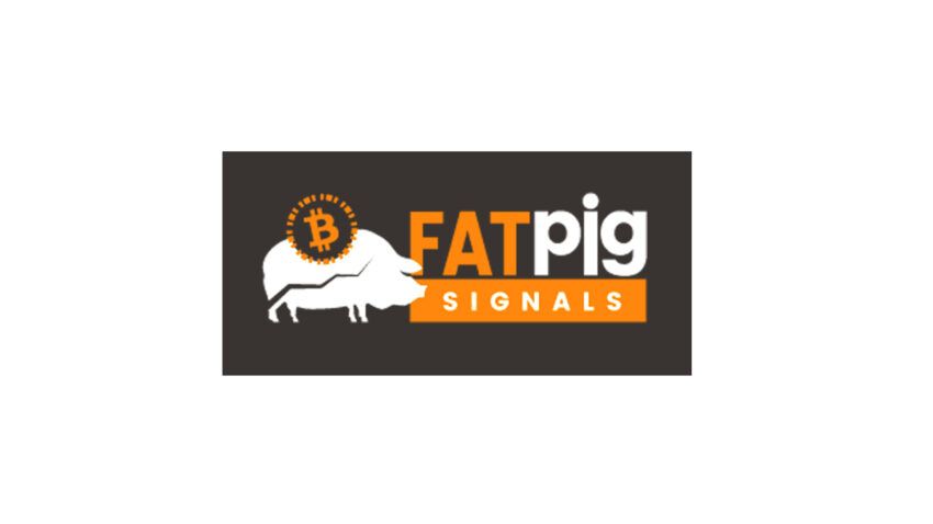 fat pig signals