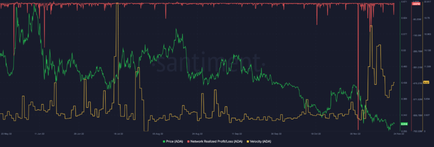 NRPL and Velocity | Source: Santiment