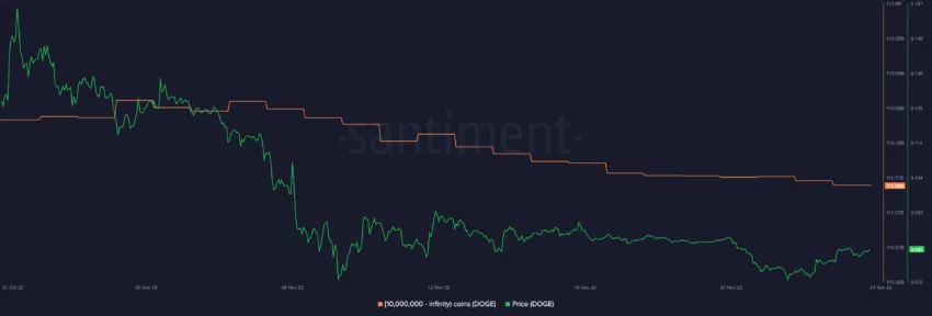 DOGE 供給のアドレスバランス別分布 | 出典: サンベース