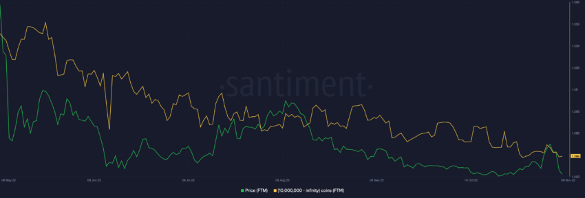 Fantom (FTM) Supply distribution by balance of addresses | Source: Sanbase 