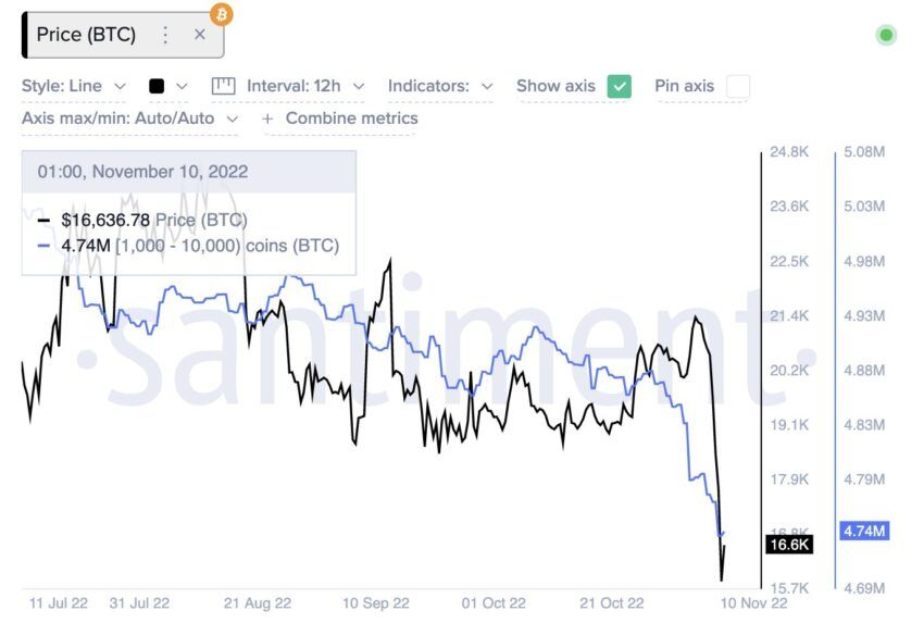 Распределение поставок BTC