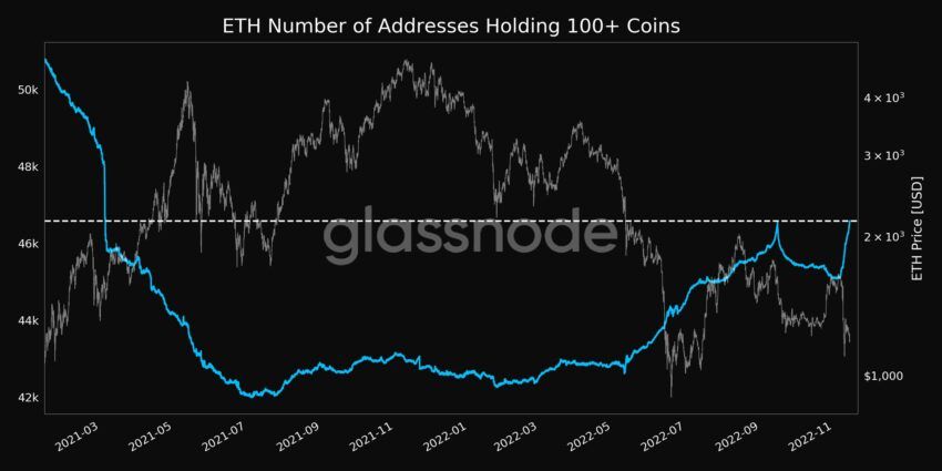 Ethereum (ETH) Number of Addresses Holding 100+ Coins | Source: Glassnode