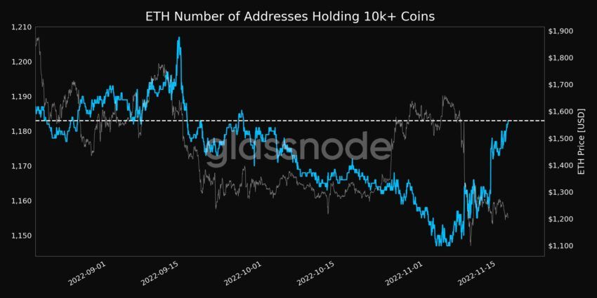 持有 10,000+ 代幣的 ETH 地址數量 | 來源：Glassnode