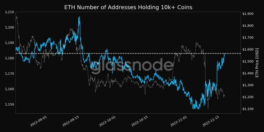 ETH Broj adresa koje drže 10 000+ novčića |  Izvor: Glassnode