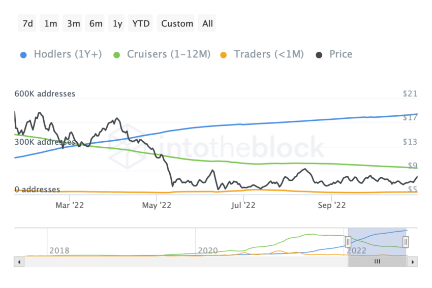 Ημερήσιες διευθύνσεις Chainlink (LINK) | Πηγή: IntoTheBlock