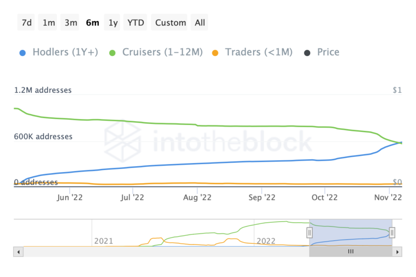 Shiba Inu (SHIB) Price network activity 