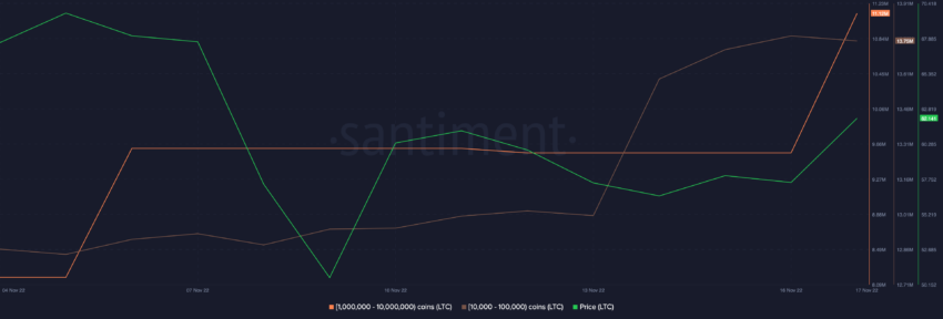 Supply distribution by balance of addresses | Source: Santiment 