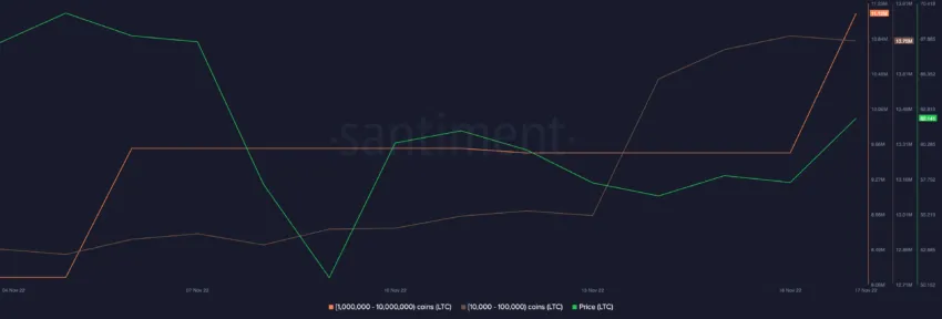 按地址余额分配供应 | 资料来源：Santiment 