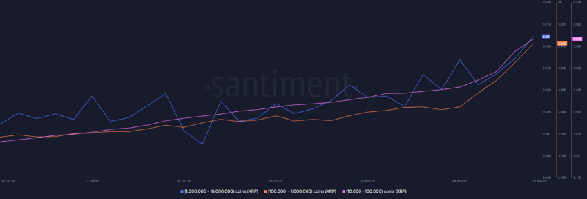 XRP Supply Distribution