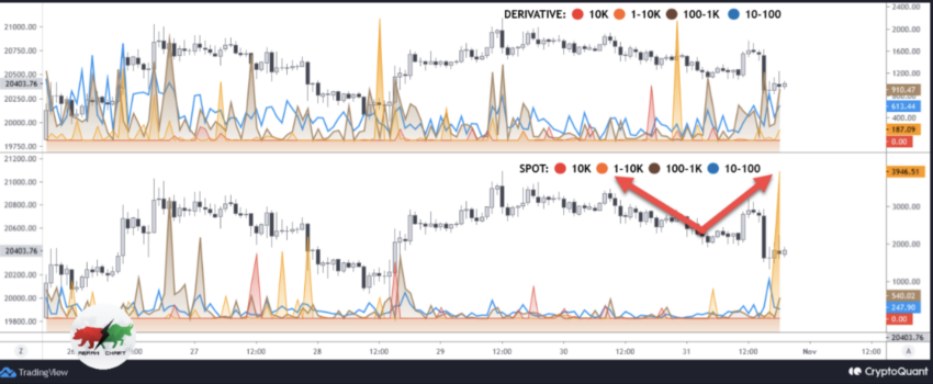 crypto analysts Source: CryptoQuant