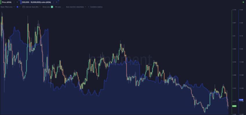 Zůstatek držení adres mezi 100 10-XNUMXM ADA | Zdroj: Sanbase