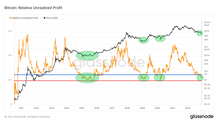 Bitcoin (BTC) Relative Unrealized Profit / Source: Glassnode NUPL