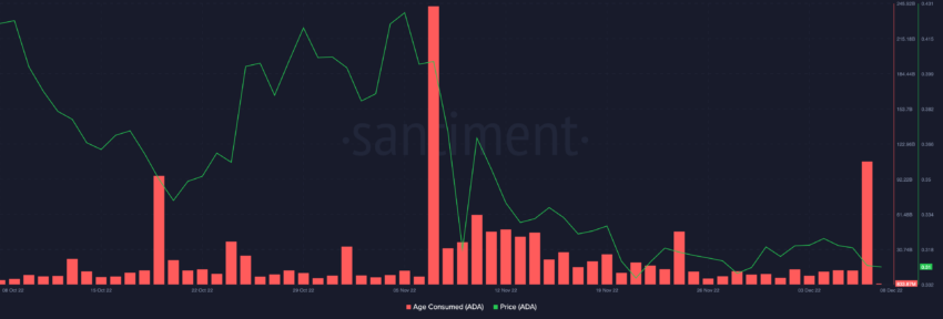 Cardano (ADA) Usia Dikonsumsi | Sumber: Santim