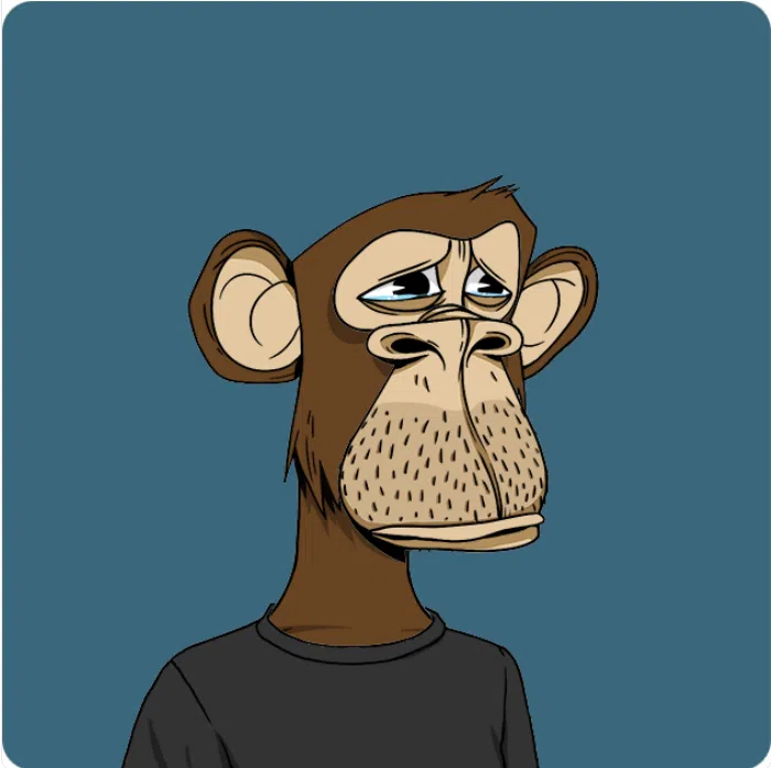 Yuga Labs Bored Monkey NFT