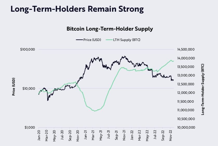 Titulares de Bitcoin a largo plazo