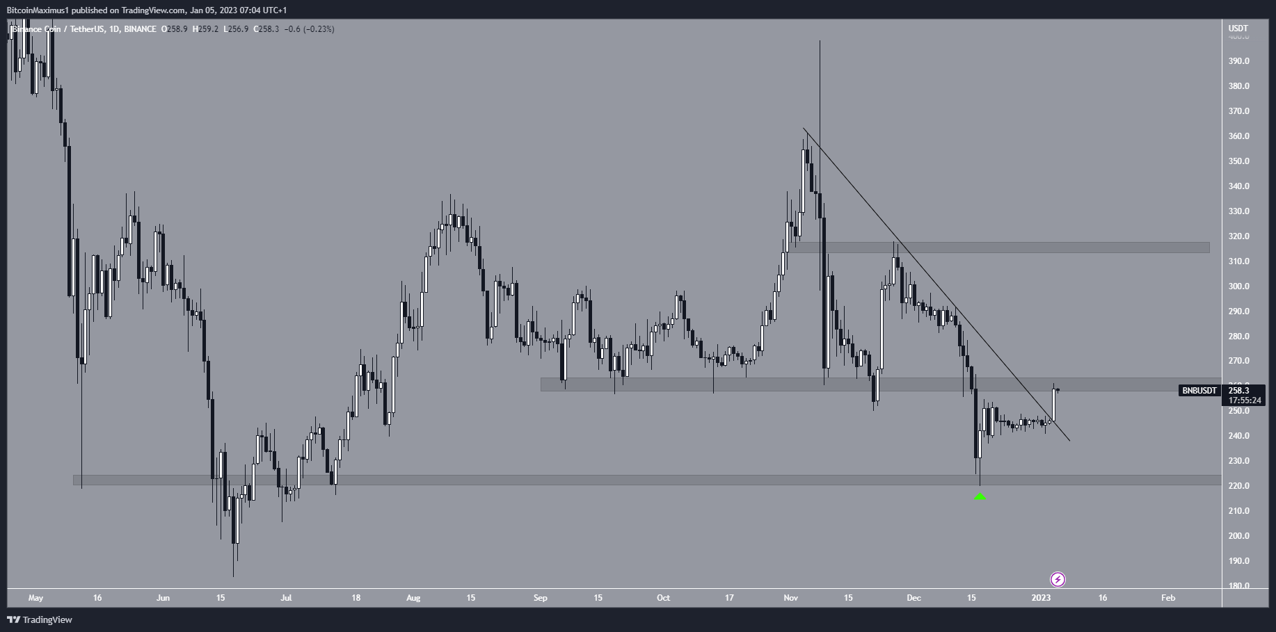 Phân tích giá Binance Coin (BNB): Biểu đồ hàng ngày BNB/USDT. Nguồn: TradingView