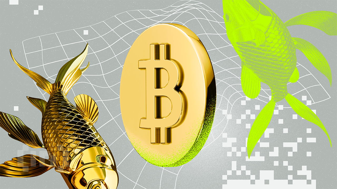 bic gold bitcoin neutral 4