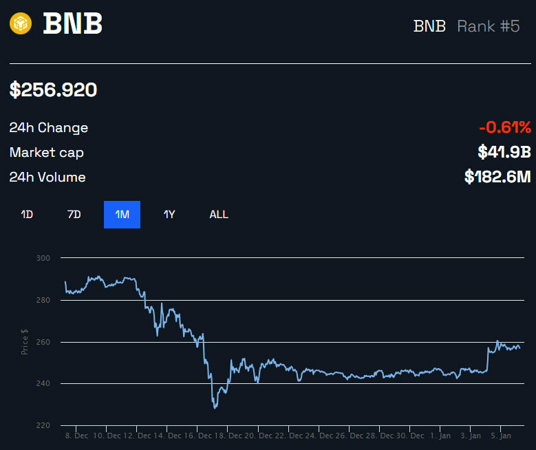 Binance Coin BNB/USD prezzo 1 mese