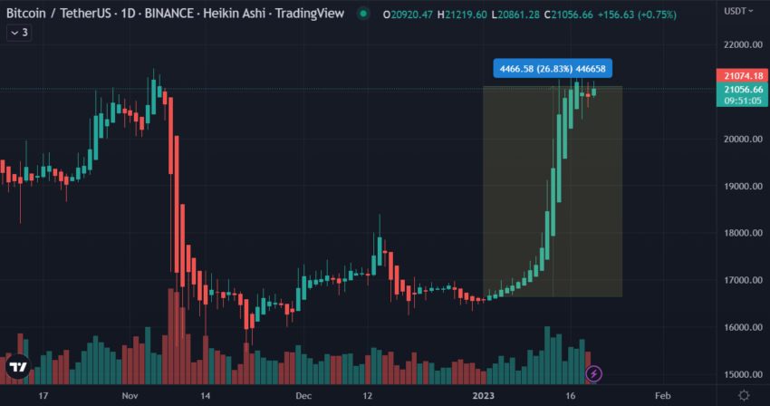 BTC Rally