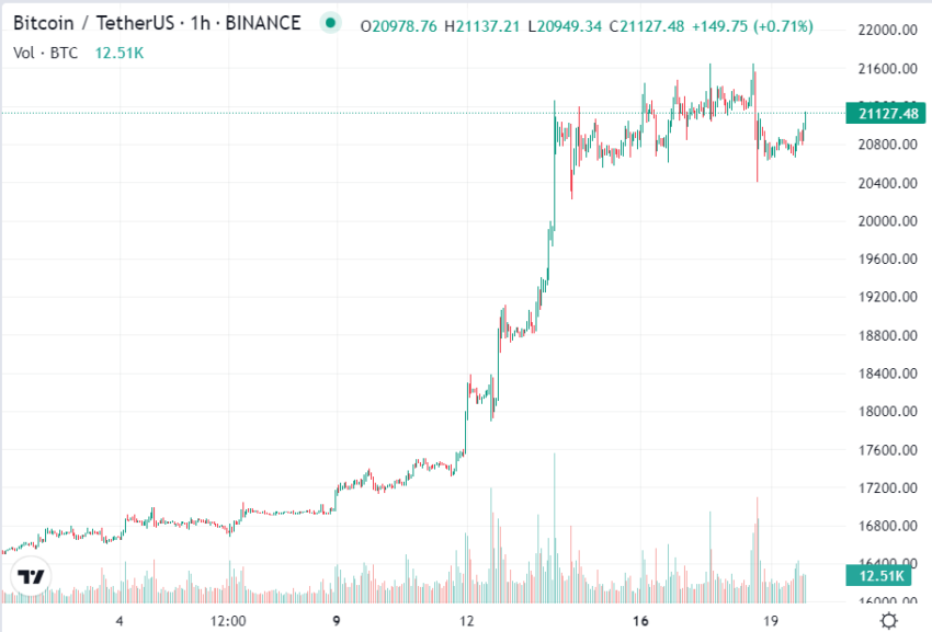 BTC en hausse de 20 % en 2023, graphique de TradingView