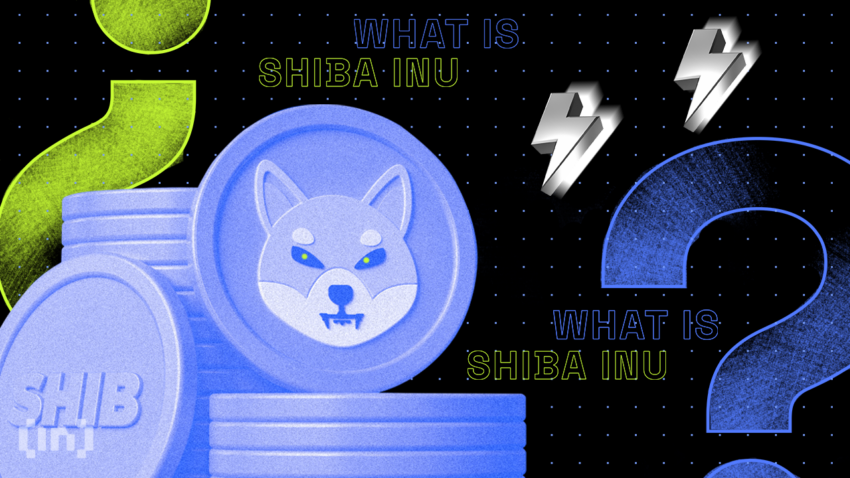 Shiba Inu wallet: What is SHIB