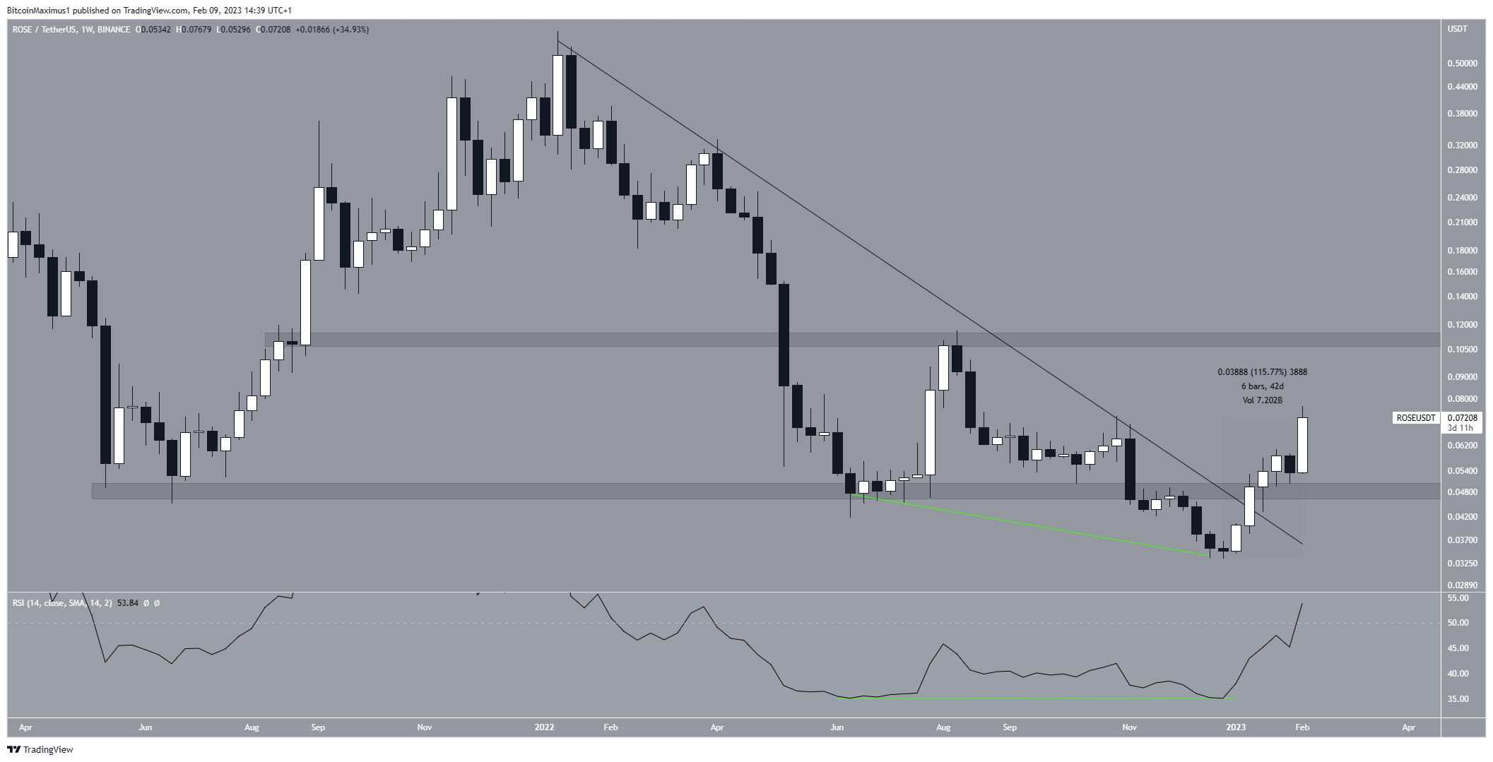 Oasis Network (ROSE) Long-Term