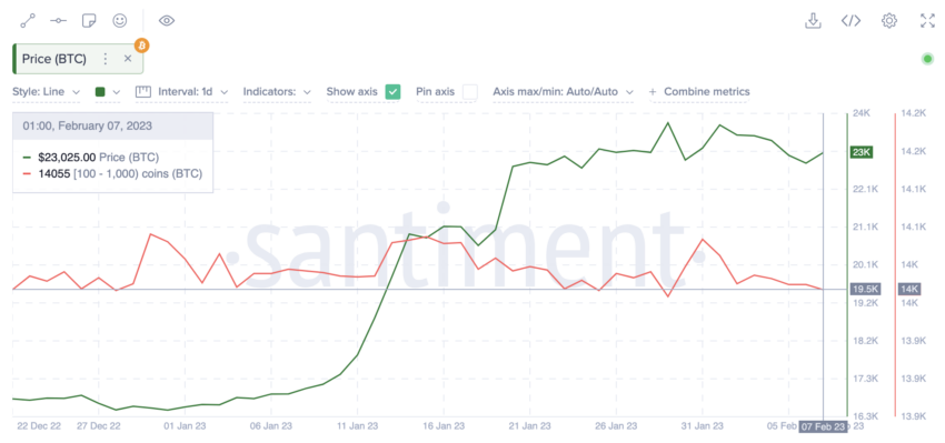 Bitcoin Wallets Holding 100 to 1,000 BTC