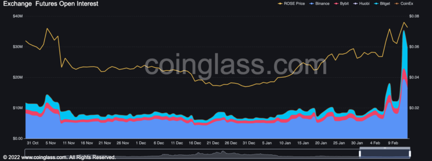 Oasis Network ROSE Price Open Interest