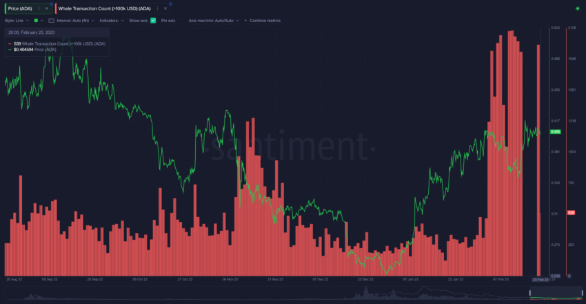 Crypto Whales Cardano ADA