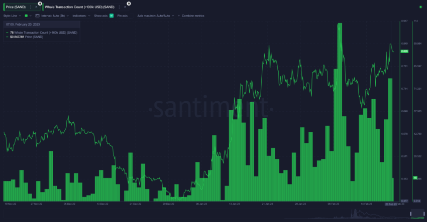 Sandbox (KUM) Balinaları