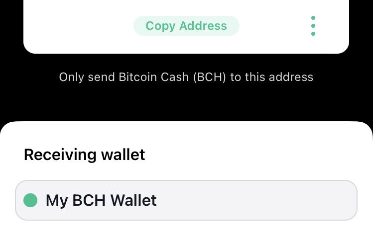 Bitcoin Cash Wallet 8