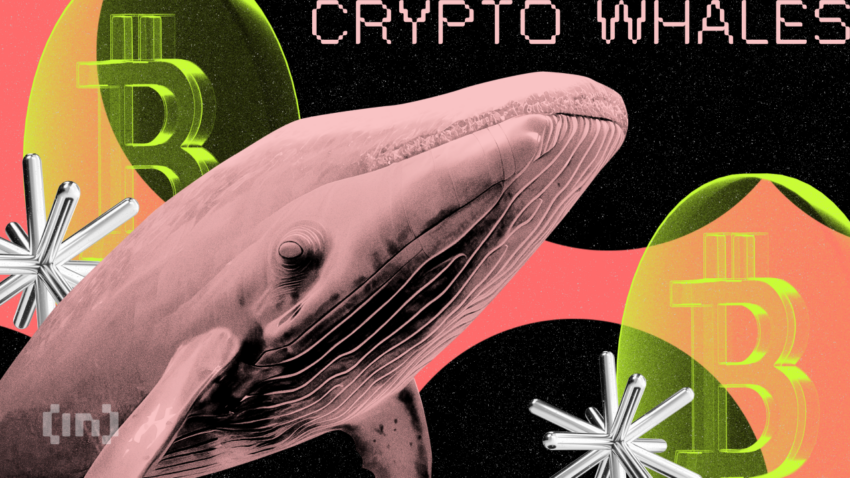 Crypto Whales Scoop Up These Altcoins: Potential Gains Ahead?