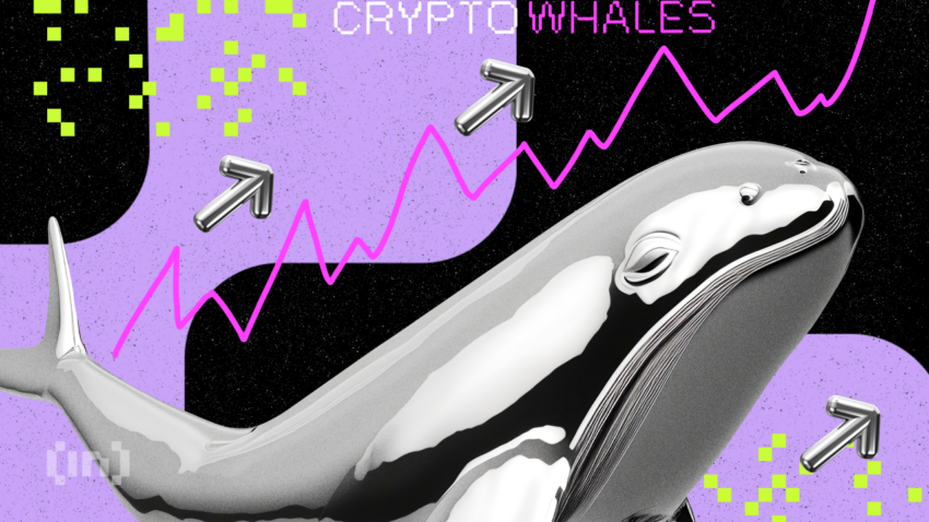 What Crypto Whales are Buying for Potential Gains in June 2023