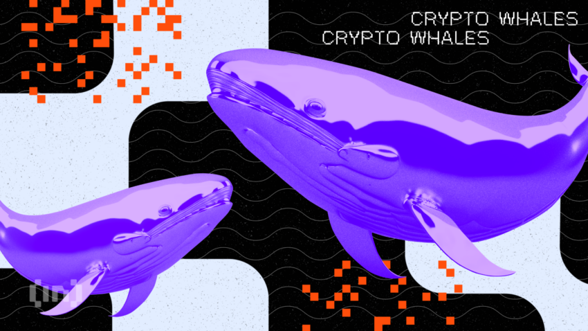 Crypto Whales Are Loading up on These Altcoins This Week