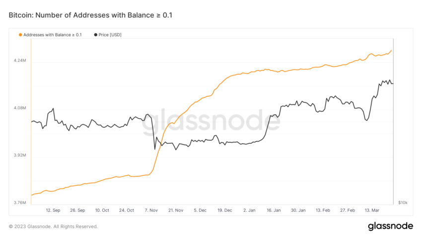 Địa chỉ Bitcoin có số dư cao hơn 0,1 BTC. Nguồn: Glassnode