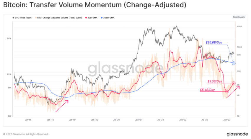 Momento del volume di trasferimento BTC - Glassnode