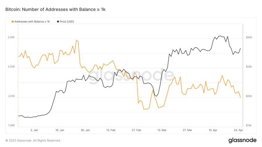 Ballenas de Bitcoin, oscilaciones del precio de Bitcoin