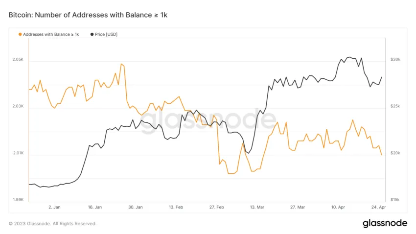 Bitcoin Whales, Bitcoin Price Swings