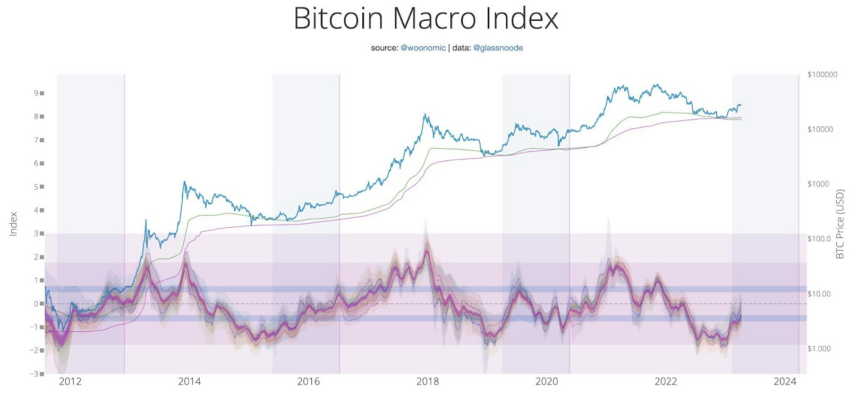 Bitcoin Macro Index. Fuente: Twitter