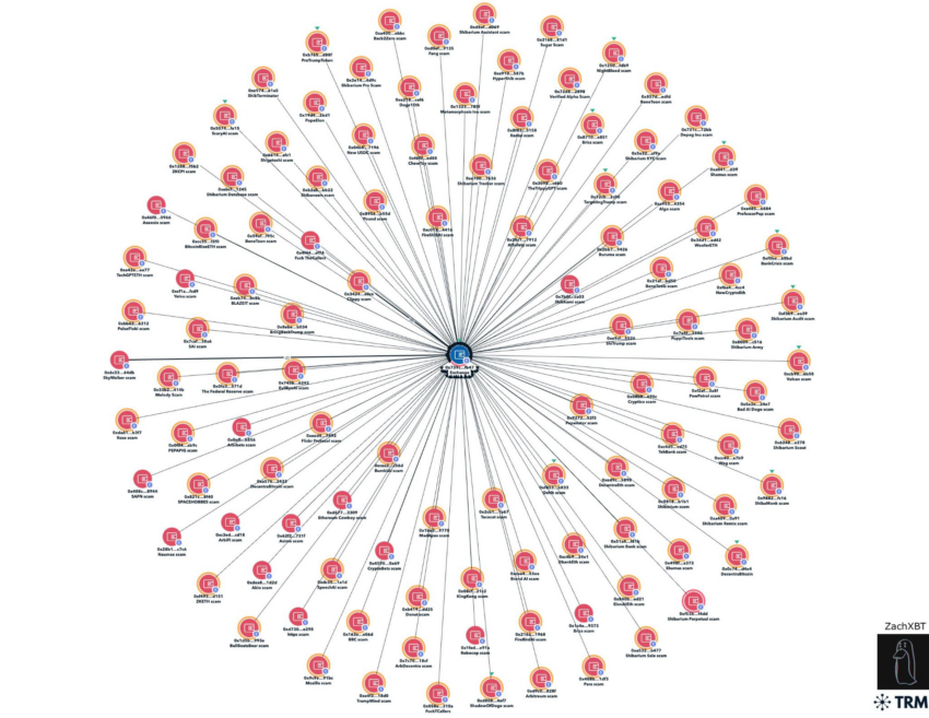 Memecoin-Betrug Netzwerk Chart
